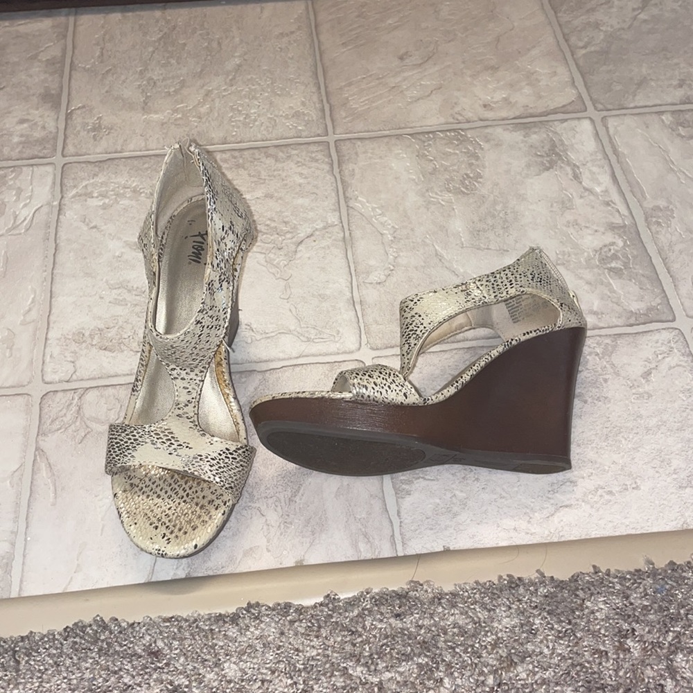 Scale Wedges - Picture 5 of 6